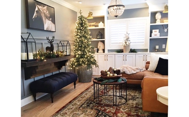 If your chairs are starting to look a little ratty, the holidays are the perfect time to find replacements. Family room with built-in shelving and shutters.
